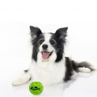 Wuff Ball | Green - The Best Dog Ball Ever!