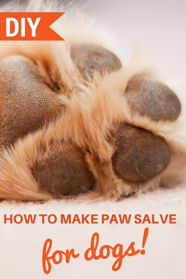 EASY DIY DOG PAW SALVE Dogs Go Wuff Official site